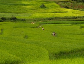 Myanmar rural